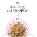 카무트 효능 쌀 효소 분말 밥 짓기 가격 호라산밀 파로