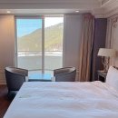 켄싱턴 평창 아기랑 호캉스하기 좋은 수영장 호텔 키즈라운지 동물농장까지