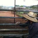 무학사슴농장 이미지