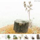 백합이브자리 이미지