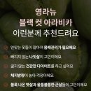 커피블랙 이미지