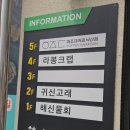 지나의커피 | 양양카페)창밖만 보고 있었는데 1시간이 지나있더라고요,하조대커피 낙산점 내돈내산후기