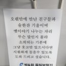 박앤하독일디지털보청기 이미지