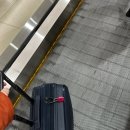 씨유 서귀위미동백점 | 겨울 설산 한라산 등산을 위해 떠난 혼자 제주도 여행 1탄
