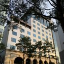 레이크호텔 | 석촌호수 롯데월드 근처 숙소 레이크호텔 룸상태 후기(내돈내산)