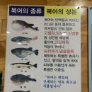 불국사복집 | 경주cc맛집 불국사복집