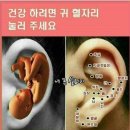 통증지압케어센터 이미지