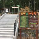 공주산림휴양마을 유아숲체험원 이미지