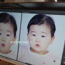 사파리사진관청주점 이미지