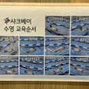 샤크베이레슨전문수영장 이미지