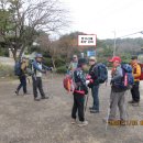 4차(쌍거리재에서동백섬)쌍거리재(영락동산)출발~. 이미지