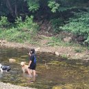 예다움사랑채 이미지