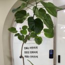 주안과의원 | 주안더굿정형외과 다녀온 솔직후기