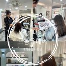 헤어미용실 | 제주서귀포서홍동미용실 프롬유헤어 시세이도염색 후기