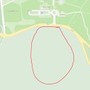 제주 신례리 왕벚나무 자생지 | 제주 여행 - 봉개동 왕벚나무 자생지 신례리 왕벚나무 자생지
