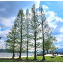 두물머리공원 이미지