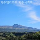 제주엠리조트 | 제주도펜션 제주엠리조트 제주서귀포 영업시간 위치 후기