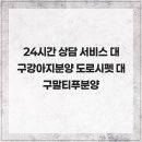 대구강아지분양 도로시펫 | 24시간 상담 서비스 대구강아지분양 도로시펫 대구말티푸분양