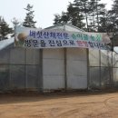 이모네농원