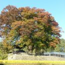 마을정자 이미지