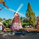 유성 족욕체험길 이미지