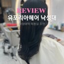 유포리아 | 낙성대역 미용실 추천 유포리아헤어 클리닉 찐만족 후기