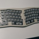 Keygeek Tori (키긱 토리) 스위치 간단 후기
