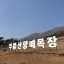 담양목장 이미지