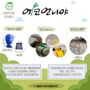 (사)에코언니야 이미지