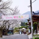능수모텔 | 5월 경기도 주말 나들이 데이트 코스 가평 아이와 가볼만한곳 볼거리 가득 아침고요수목원