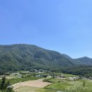 [울릉도 여행] 울릉도 특산 나물로만 먹는 산채비빔밥 정식 나리촌식당 | 꼭 먹어야 하는 맛집!