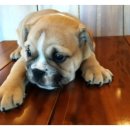 선기농장 이미지