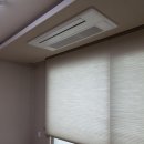 발트하임 이미지