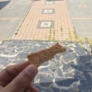 여주-0507 | 여주설렁탕에서 맛본 진한 국물, 여주신륵사맛집에서의 든든한 여주아침식사 후기