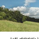 키즈키키키즈룸 이미지