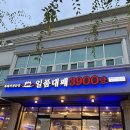 속초대패 | 속초 일품대패3900냥 방문 후기!