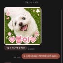 미남초등학교 | 부산 떡집 추천 선물하기 좋은 포토떡 떡바라기