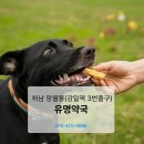 유명프라자약국 이미지