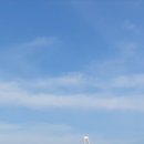 신안천사공인중개사사무소 이미지