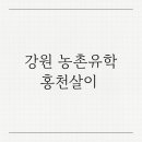 남애초등학교 | 강원도 농촌유학, 홍천살이 (홍천을 선택한 이유)