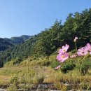 풍요로(동) 이미지