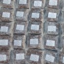 으뜸플러스안경괴정점 이미지