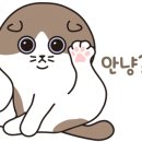 루시아미용실 - 수원시 장안구 | 루시아미용실