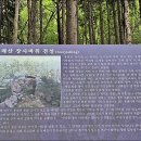 해돋이마을 이미지