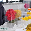 솔라앤더
