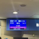 골프SC | 산동항공 칭다오 골프여행 후기 골프가방 위탁수하물 기내식 모바일 체크인 카운터 총정리
