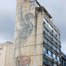 화이트 하우스 이미지