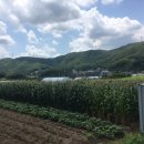 자연광주리협동조합 이미지