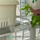 식탁위의텃밭 | 집에서 상추 대파 키우기 쉬운 내집에 텃밭 베란다 화분 사용 후기