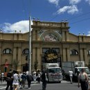 피츠로이가든 | 여행 #01-5] 멜버른 야무지게도 다녔네 (퀸 빅토리아 마켓, 마켓 레인 커피, 피츠로이, 로열 보타닉 가든)